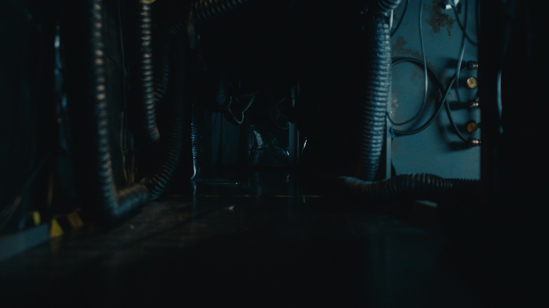 Dead Reset (Standard Edition) - למחשב ולאקסבוקס