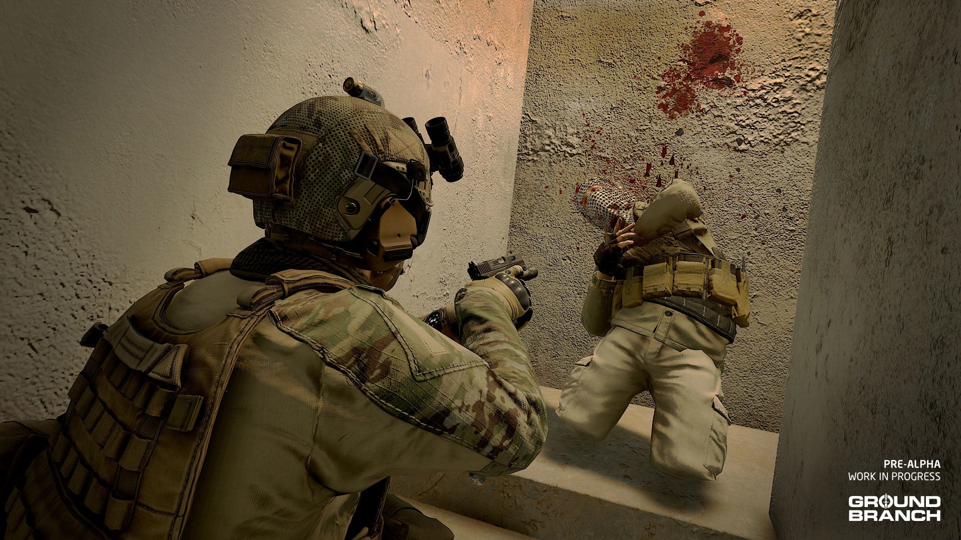 GROUND BRANCH (Standard Edition) - למחשב