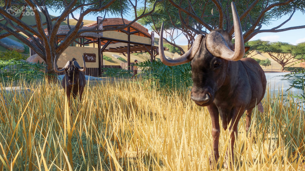 Planet Zoo (Deluxe Edition) - Xbox - EXON