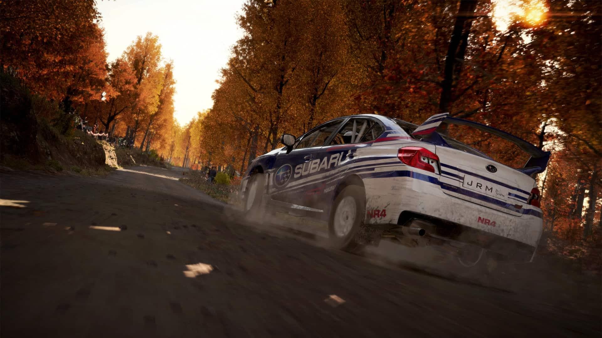 DiRT 4 - למחשב - EXON