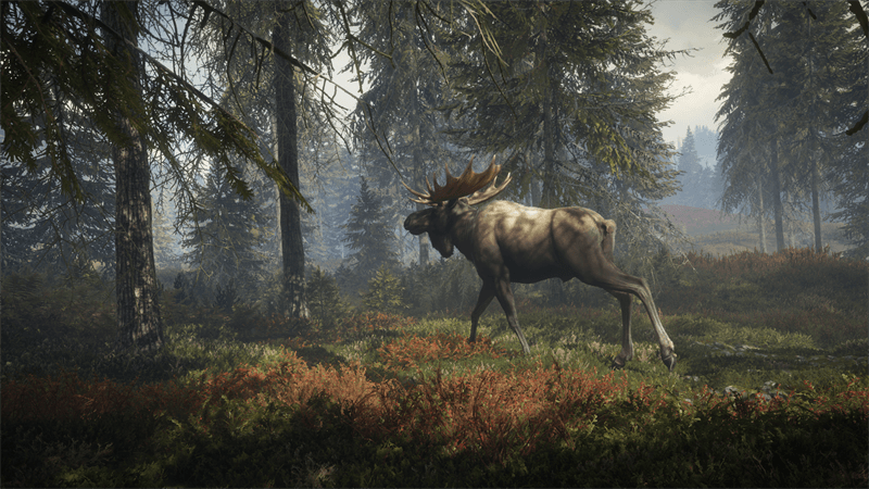 theHunter: Call of the Wild™ (Standard Edition) - Xbox - EXON