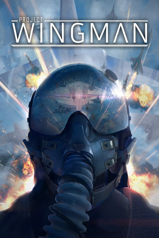 Project Wingman (Standard Edition) - למחשב