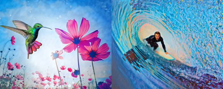 Adobe - Photoshop Elements & Premiere Elements 2025 - EXON