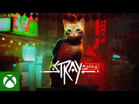 Stray (Standard Edition) - Xbox
