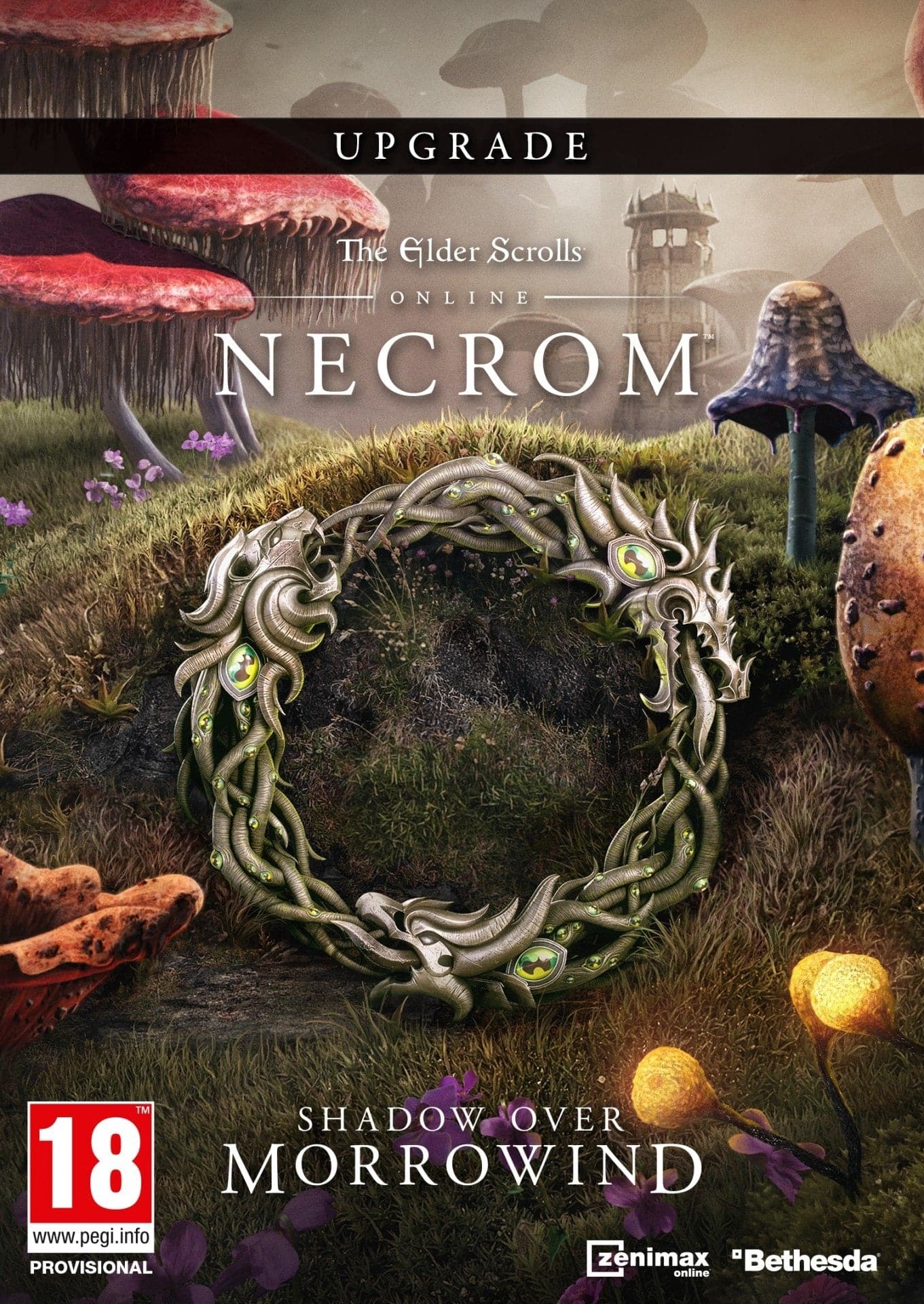 The Elder Scrolls Online: Upgrade: Necrom - למחשב