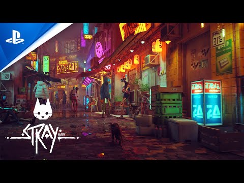 Stray - למחשב