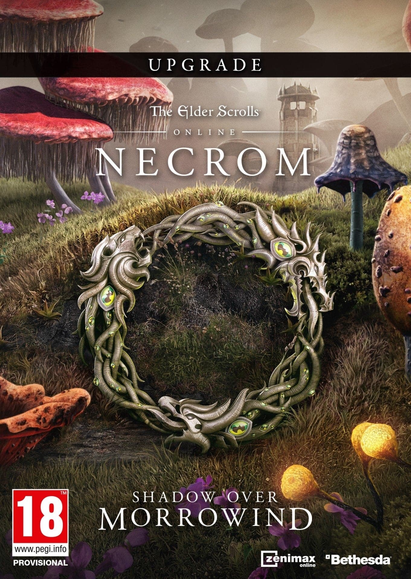 The Elder Scrolls Online: Upgrade: Necrom - למחשב - EXON - גיימינג ותוכנות - משחקים ותוכנות למחשב ולאקס בוקס!